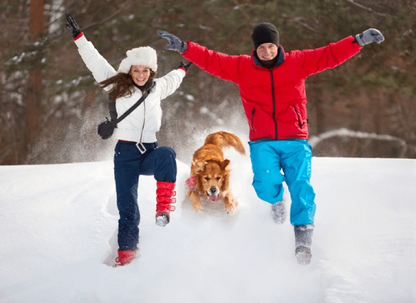 Thing To Do Pet Friendly Activities